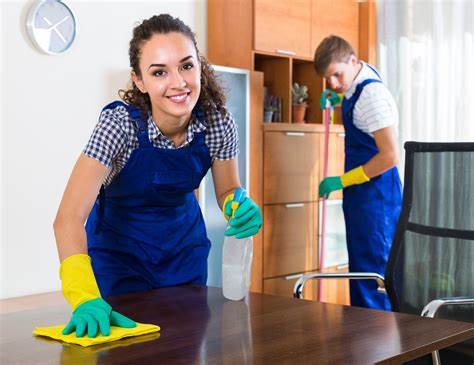 cleaning services Ingersoll